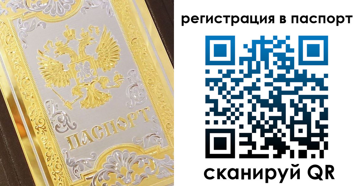 прописка 2025 в Кингисеппе